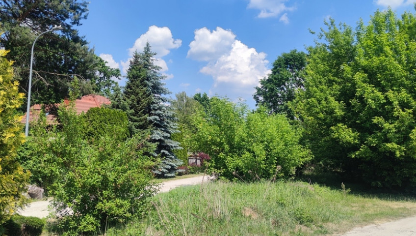 Działka Sprzedaż Wiktorów